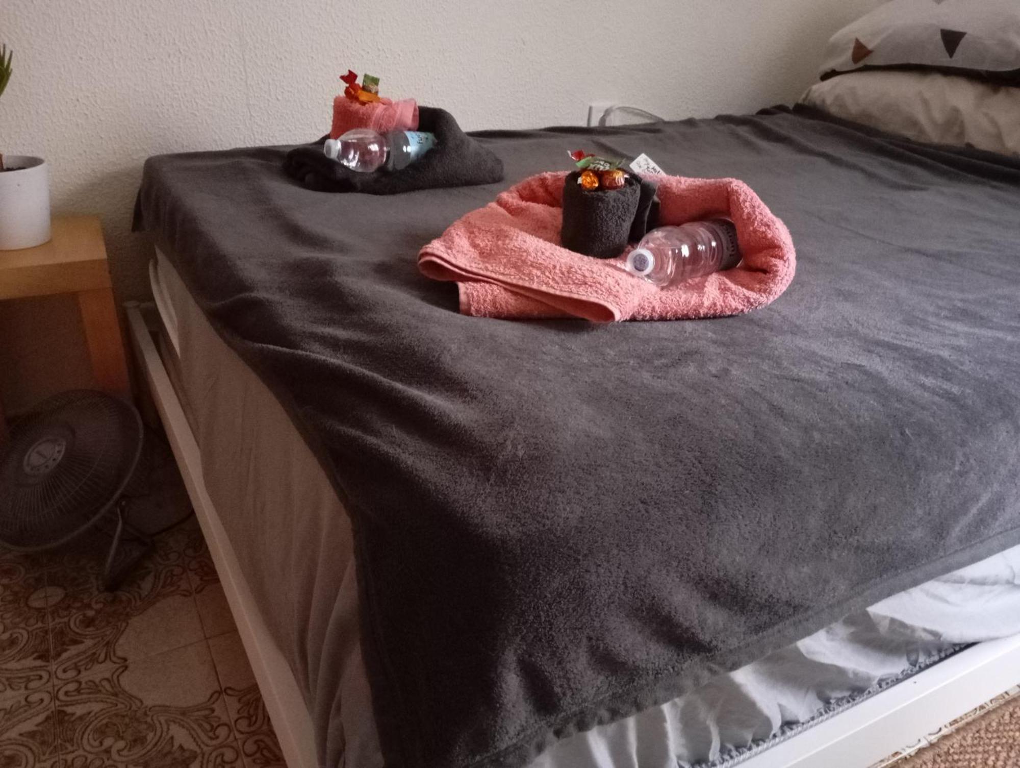 Grosses Modernes Zimmer "Silber" Fuer 2 Personen Und Katzenliebhaber Валенсия Экстерьер фото